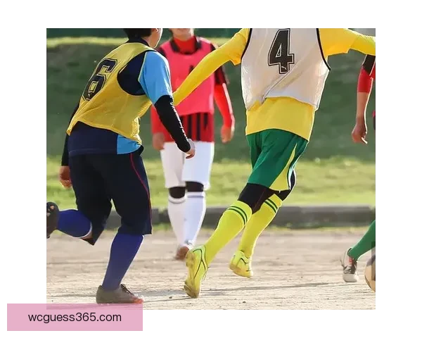 2026年美国世界杯主场馆分布与赛事精彩全景解析 2026年美国世界杯主场馆分布与赛事精彩全景解析